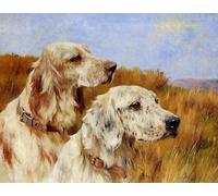YIMACBJXX Dipinti Famosi Poster Stampa Stampe Pittura Dos Setters Arthur Wardle per la Decorazione Della Parete 60x90cm