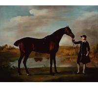 YIMACBJXX Dipinti Famosi Poster Stampa Stampe Pittura El cazador de la bahía de Malborough con un novio de George Stubbs per la Decorazione Della Parete 60x90cm