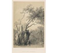 YIMACBJXX Dipinti Famosi Tela e Immagini Mural Dipinto el árbol sagrado de metereeah por david roberts per L'arredamento Della Camera da Letto 60x90cm