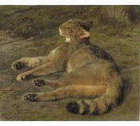 YIMACBJXX Dipinti Famosi Tela e Immagini Mural Dipinto Gato salvaje de Rosa Bonheur per L'arredamento Della Camera da Letto 60x90cm