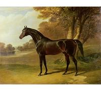 YIMACBJXX Famoso Arte Della Tela Quadri Modemi Pintura famosa de John Frederick Herring Senior per Decorazioni per la Casa 60x90cm