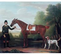 YIMACBJXX Famoso Parete Immagine Arte Dipinto Vista de la Villa Di Sesto de Vistas de la Toscana de Giuseppe Zocchi per L'arredamento del Soggiorno 60x90cm