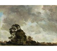 YIMACBJXX Famoso Tela e Immagini Mural Dipinto Paisaje en Hampstead Árbol y nubes de tormenta por John Constable per L'arredamento Della Camera da Letto 60x90cm
