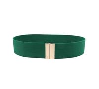 YIMAIWLX Cintura Donna Cinture per Le Donne Vita Nera Elastica delle Donne Banda Rotonda Fibbia Decorazione Cappotto Maglione Abito di Modo Riso Bianco-Oro Verde