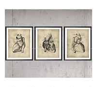 Yimesoy Poster di Anatomia del Cuore Vintage Nordico Cardiologia Immagine Modulare Arte Medica Decorazione della Parete Clinica Decor Dentista Regalo Medico Office Decor 12"X16"X3Pcs
