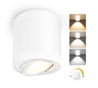 YindaLux Faretti LED Soffitto Dimmerabile, 5W Faretto da Parete Orientabile, Contiene Modulo LED 230V, Alluminio Lampada da Soffitto Downlight, Moderno Bianco Rotondo Faretto Interno 1PCS