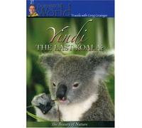 Yindi the Last Koala