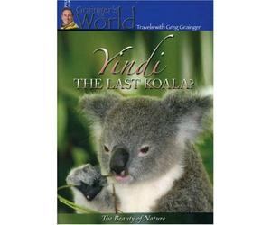 Yindi the Last Koala