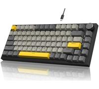 YINDIAO Ajazz AK820 Tastiera Meccanica con Manopola,Layout ANSI 75%,Tastiera da Gioco Cablata 81 Tasti,5 Schiuma Fonoassorbente,Hot-swap,Interruttore Lineare,Retroilluminazione RGB,per PC,MAC(Grigio)