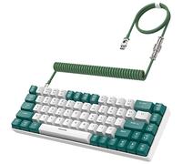 YINDIAO T8 60% Tastiera da Gioco,68 Tasti Mini Tastiera Meccanica Cablata Compatta con 18 Chroma RGB Retroilluminato,Interruttore Blu,Cavo USB C A Spirale per Tastiera,per PC,Laptop,Mac,PS4,XBOX-Verde