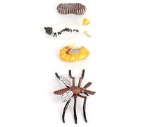 Yinhing Ciclo di Crescita delle Formiche, Ciclo di Crescita Animale Modello Biologico Biologico Modello di di Formiche di Insetto Giocattolo Cicurine Figurine del di Vita Toy di Vita (#1)