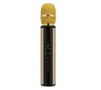 Yinhing Microfono Portatile con Riduzione del Rumore Microfono Stereo per Karaoke Ideale per Smartphone e PC Registrazione di Alta qualità Design Leggero per Feste Ed Eventi (GOLD)