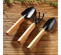 Yinhing Set di Attrezzi da Giardino di LeapStar Kit da Giardinaggio da 3 Pezzi con Manico in Legno, Materiale in Ferro, Ideale per il Giardinaggio su Balconi Interni (Colore assortito)