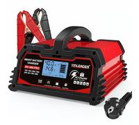 Yinleader Caricabatteria Intelligente 40A 12V/24V 20A Caricabatteria da Auto LCD Manometro Batteria per AGM, Moto