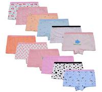 Yintry Intimi per Bambini di Serie Bambini Mutandine Culotte in Cotone per Bambine Piccole (Confezione da 12) (2-4 Anni, Stile5)