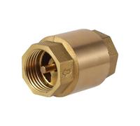 YINZHD 1 valvola di ritegno a molla in linea con filettatura femmina da 1/2" e 3/4" da 1" in ottone, unidirezionale, di non ritorno, for il controllo dell'acqua in agricoltura(3I4 inch)