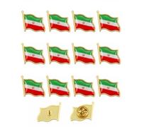 YIPFEN 12 Pezzi Spilla Bandiera Iraniana Leone, Iran Persian Flag Lion Pins, Adatta per Uomo e Donna, Abbigliamento, Borse e Cappelli