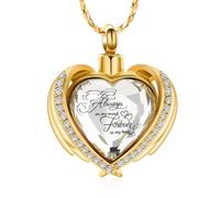 YiQinzcxg Moda In Acciaio Inox Collana Ciondolo Cuore Collana Per La Conservazione Della Borsa Per Animali Domestici Per I proprietari di Animali Domestici Presentare, Taglia unica, come descritto