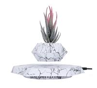 YISUIPU Vaso sospeso fluttuante per piante piccole, eleva il livello dello spazio con il vaso galleggiante - Splendida decorazione per casa e ufficio (bianco)