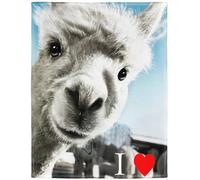 YISUMEI Coperta 150 x 200 cm in morbida flanella, morbida coperta in pile con scritta "Ich Liebe Lama"