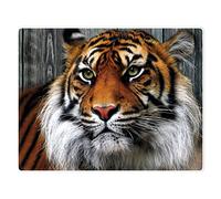 YISUMEI - Coperta super accogliente per letto e divano con motivo a forma di tigre, 150 x 200 cm