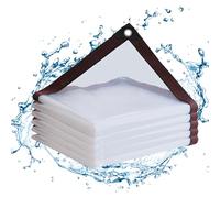 Yiustldd 2x10m, Telone Trasparente Impermeabile Resistente, Telo in plastica Spessa per Esterni con Occhielli e Bordi rinforzati per Proteggere Le Piante, Gazebo da Giardino, Patio