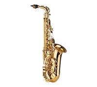 YIWENG AS200 Sassofono Contralto MIB Ottone Laccato Sax Contralto Strumento a fiato con Custodia per Il Trasporto Guanti Cinghie Panno per Pulizia Spazzola