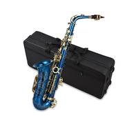 YIWENG Sax in ottone inciso,Ottone inciso Mib Mi bemolle Sassofono contralto Sax Abalone Bottoni in conchiglia Strumento a fiato con custodia Guanti Panno per pulizia Spazzola per cintura
