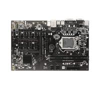 YIWENG Scheda madre B250 BTC-12P con 2 slot di memoria DDR4 11 slot PCI-E 1X Porte VGA+DVI Supporto CPU serie LGA1151 di sesta e settima generazione,2 slot di memoria DDR4