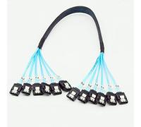 YIWENTEC Cavo 6 gbps sata 3 iii sas ad alta velocità per Server 1M (6 sata 1M)