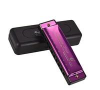 YIWEOG Key of C Diatonic Harmonica Mouthorgan con canne in ABS Mirror Surface Design 10 Fori Blues Harmonica Beginners Studenti Professionisti Kid Purple