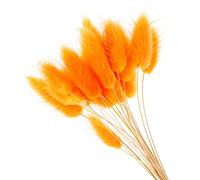 YIWOYI 50 pezzi/lotto Eterna Fiore secco Erba Lunga Ramo Naturale Fiori Essiccati Colorati Peluche Fiori Coda di Coniglio Erba Coda di Volpe per Decorazione Domestica (Arancione)