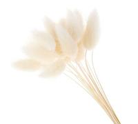 YIWOYI 50 pezzi/lotto Eternal Flower secco erba lunga ramo naturale fiori secchi colorati peluche fiori coda di coniglio erba coda di volpe per la decorazione della casa (bianco)