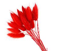 YIWOYI 50 pezzi/lotto Eternal Flower secco Erba lunga ramo naturale fiori secchi colorati peluche fiori coda di coniglio erba coda di volpe per la decorazione della casa (rosso)