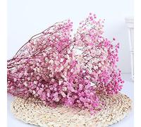 YIWOYI Bouquet di fiori secchi naturali, Gypsophila paniculata, ideali per feste di nozze o decorazione della casa, 30-40 cm, 30 g, viola e rosa