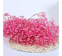 YIWOYI Bouquet di fiori secchi naturali, Gypsophila paniculata, ideali per feste di nozze o decorazione della casa, 15-30 cm, 20 g, rosa