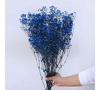 YIWOYI Bouquet di fiori secchi naturali, Gypsophila paniculata, ideali per feste di nozze o decorazione della casa, 30-40 cm, 30 g, blu royal
