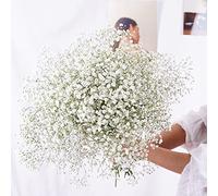 YIWOYI Bouquet di fiori secchi naturali, Gypsophila paniculata, ideali per feste di nozze o decorazione della casa,15-30 cm, 20 g, bianco