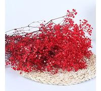 YIWOYI Bouquet di fiori secchi naturali, Gypsophila paniculata, ideali per feste di nozze o decorazione della casa, 30-40 cm, 30 g, rosso