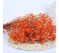 YIWOYI, fiori naturali secchi di Gypsophila, fiori naturali freschi di Gypsophila Paniculata respiro bouquet regalo per la decorazione della casa (arancione, 40-55 cm, 80 g)