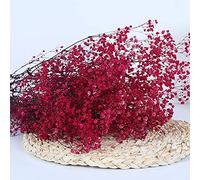 YIWOYI Gypsophila Paniculata, fiori secchi naturali e conservati, fiori secchi Gypsophila Paniculata, bouquet di fiori per feste nuziali, decorazione domestica (rosa rossa, 40-55 cm80g)
