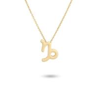 YIXANNX Collana dell'amicizia a tema costellazione Ins regolabile Squisito accessorio di moda resistente alla ruggine, Oro Capricorno