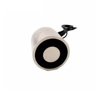 YJ-80/80 Supporto Elettromagnete Ventosa Elettrica Magnete Dc 12V 24V Ventosa Cilindrica Sollevamento 300KG 1 Pz(24V)