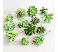 YJDOORPLAY Collezione di piante grasse artificiali per la decorazione della casa, in plastica, realistiche, per ufficio, scrivania, tavolo, soggiorno, camera da letto (cuore verde paolino)