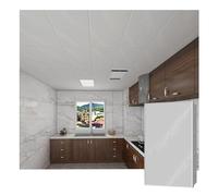 YJEUZCD Alluminio Soffitto Piastrelle, Interno Housetop Liscio Installazione Pannello, Ufficio Cucina Decorare Copertina Foglio, Soffitti per Sospeso Griglia(Gray-B,15pcs-30x60cm)