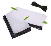 YJHH Telo Copritutto da Esterno 1x1m, Telone Impermeabile Trasparente, Teloni con Occhielli E Corda 5m, Plastica Antistrappo A Prova di Vento - per Balcone, Camper, Gazebo E Giardino