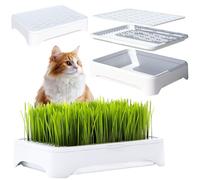 YjiaYjiaY Confezione da 2 fioriere per erba per gatti (semi non inclusi), design a tre sezioni, vassoio antipasto per erba gatta, kit per la coltivazione di germogli, vassoi per la coltivazione di