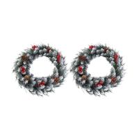 YJXKTAU Catena Luminosa Natalizia Winter Wonderland con Figure di alci a Forma Fiocco Neve e Ventose for un'accogliente Esposizione in vetrina for Interni(White-2PCS)