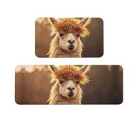 YKJJFVZ Tappetini da cucina con stampa alpaca indiana per pavimento, set di tappeti da cucina, per vari spazi interni ed esterni