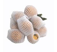 YKMYXZ, 100 Pezzi di Schiuma a Rete for Bottiglie di Vetro, Oggetti fragili, Frutta e Verdura, Sacchetti a Rete Spessa(10x6CM)